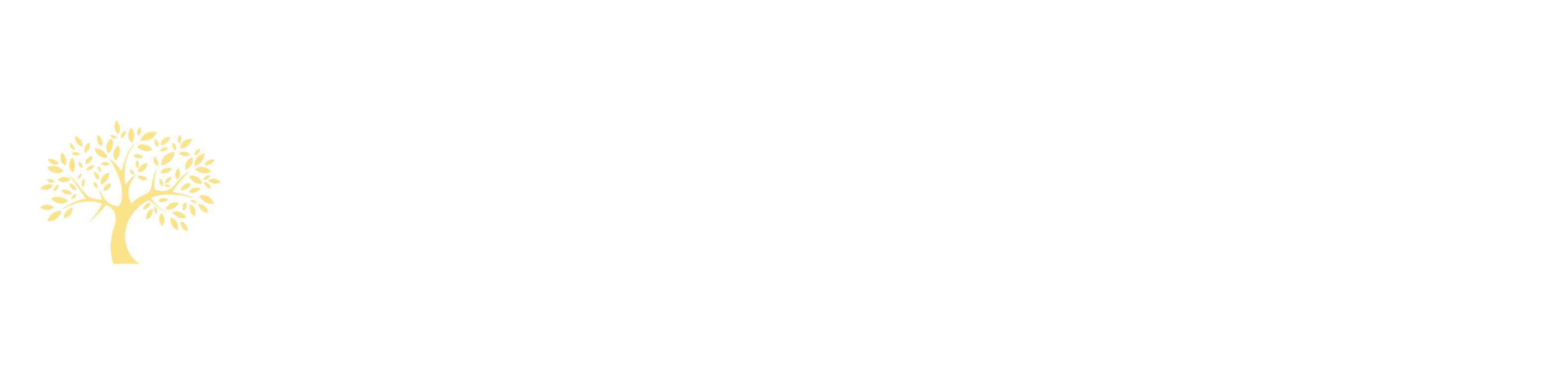 The Grace Full Giving Foundation